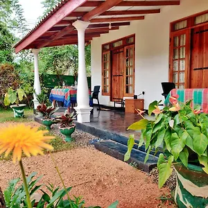 Sigiri Shen Sri Lanka